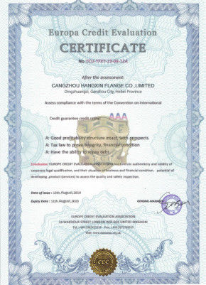 China Cangzhou Hangxin Flange Co.,Limited certification